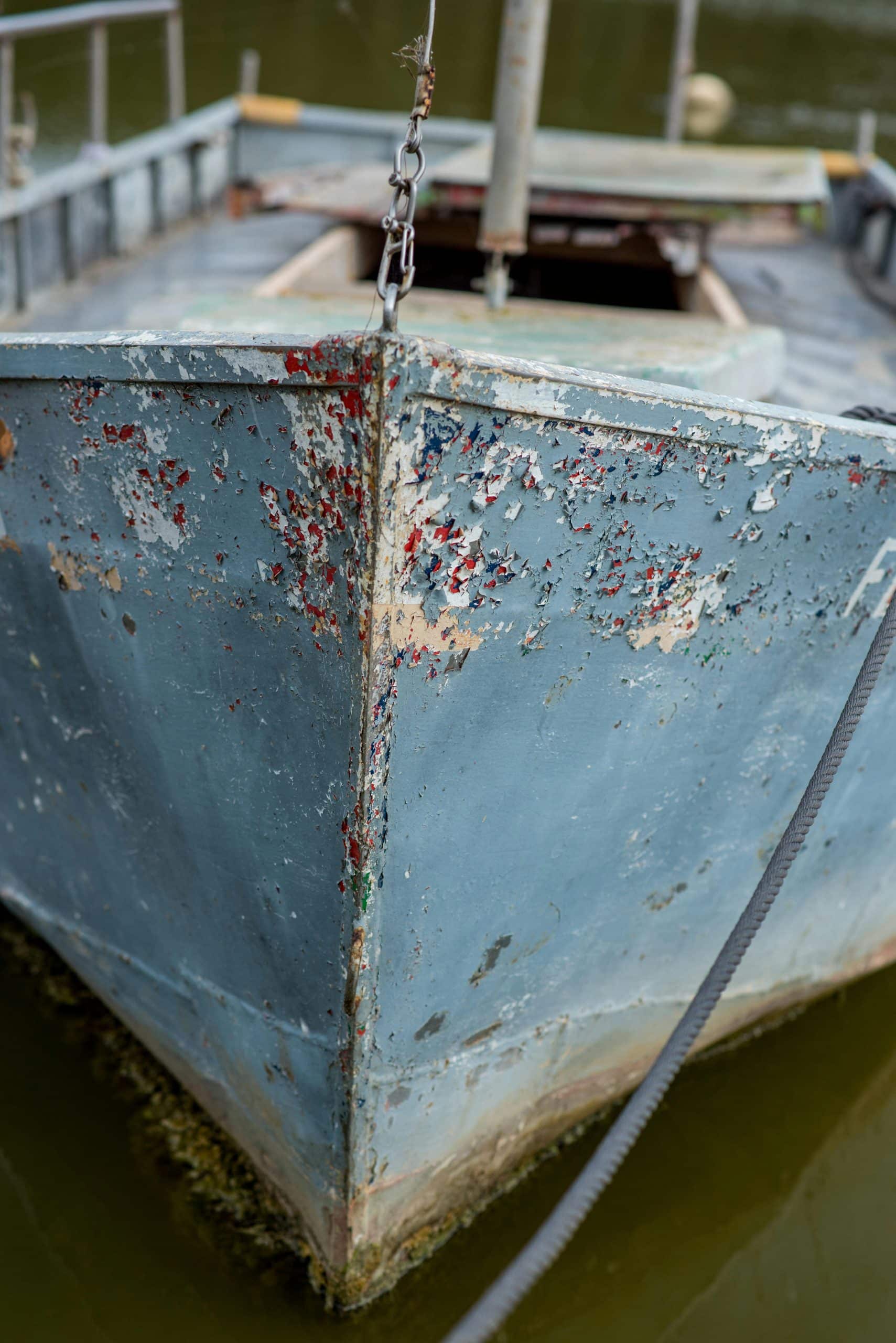 Close-up of barnacles and algae growth on boat hull